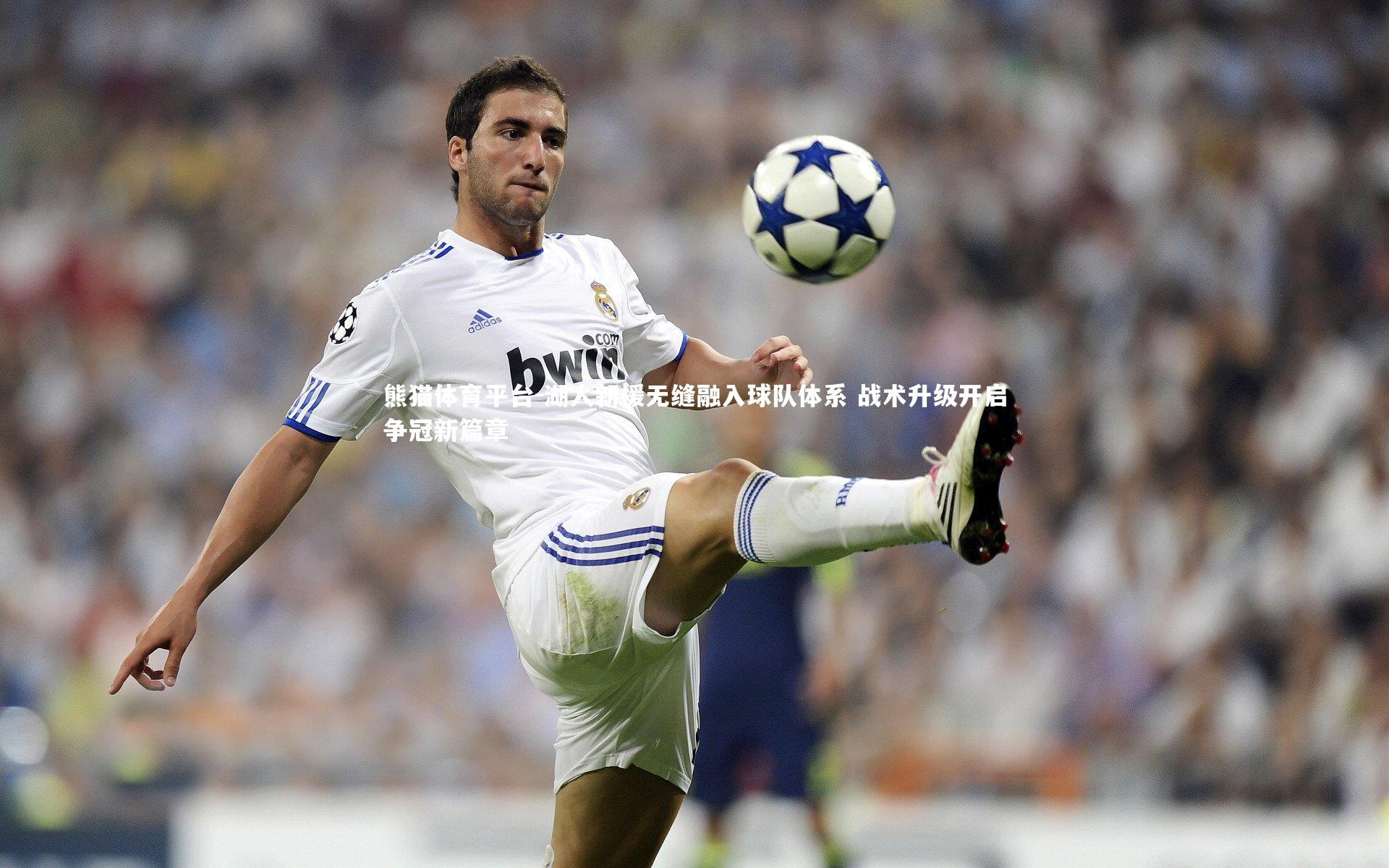 湖人新援无缝融入球队体系 战术升级开启争冠新篇章