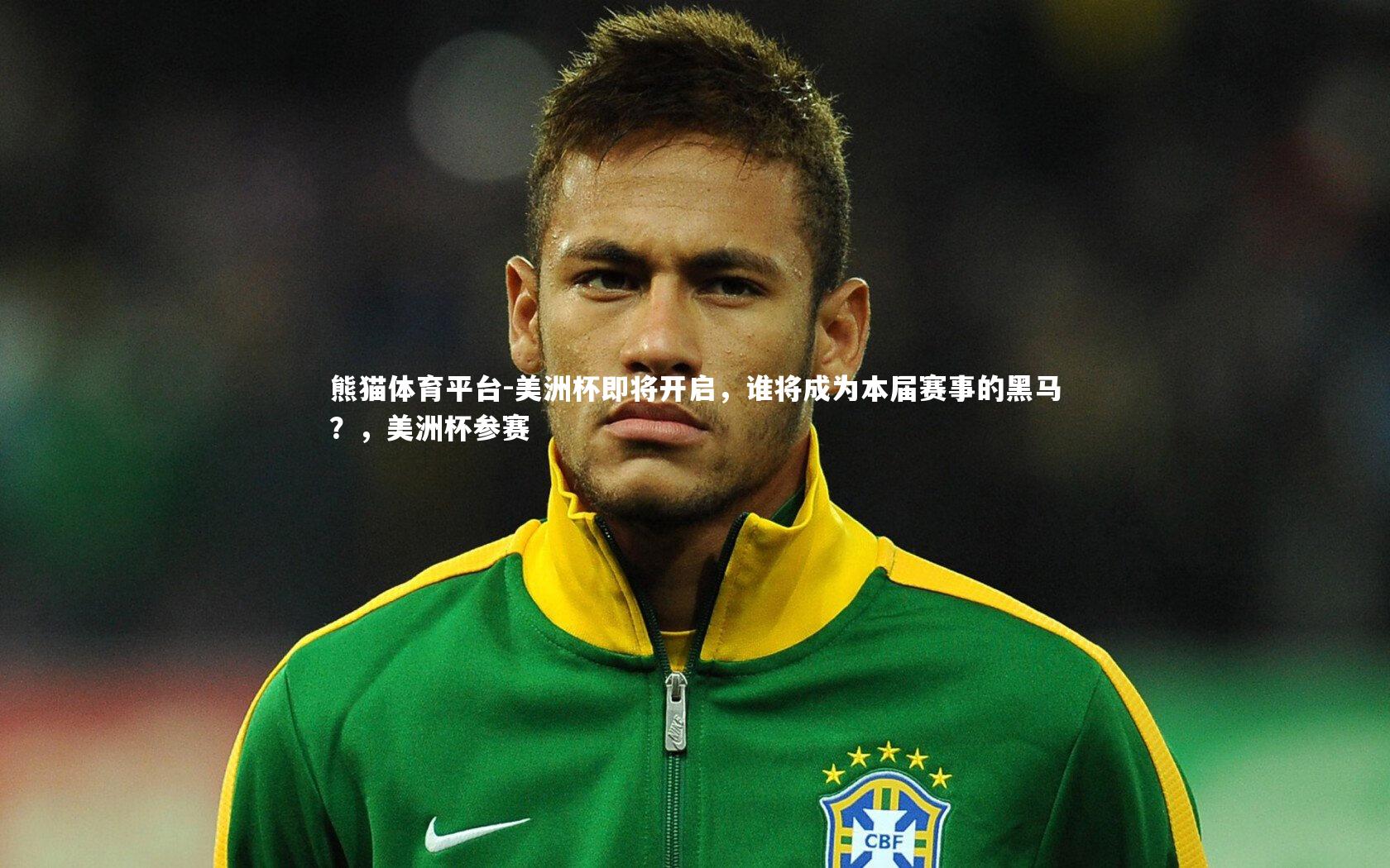 美洲杯即将开启,谁将成为本届赛事的黑马?,美洲杯参赛