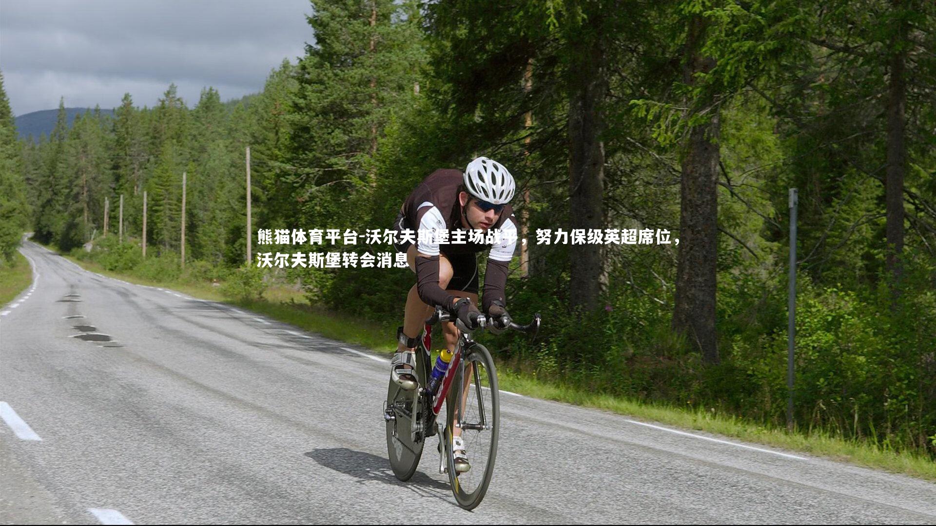 熊猫体育平台-沃尔夫斯堡主场战平，努力保级英超席位，沃尔夫斯堡转会消息