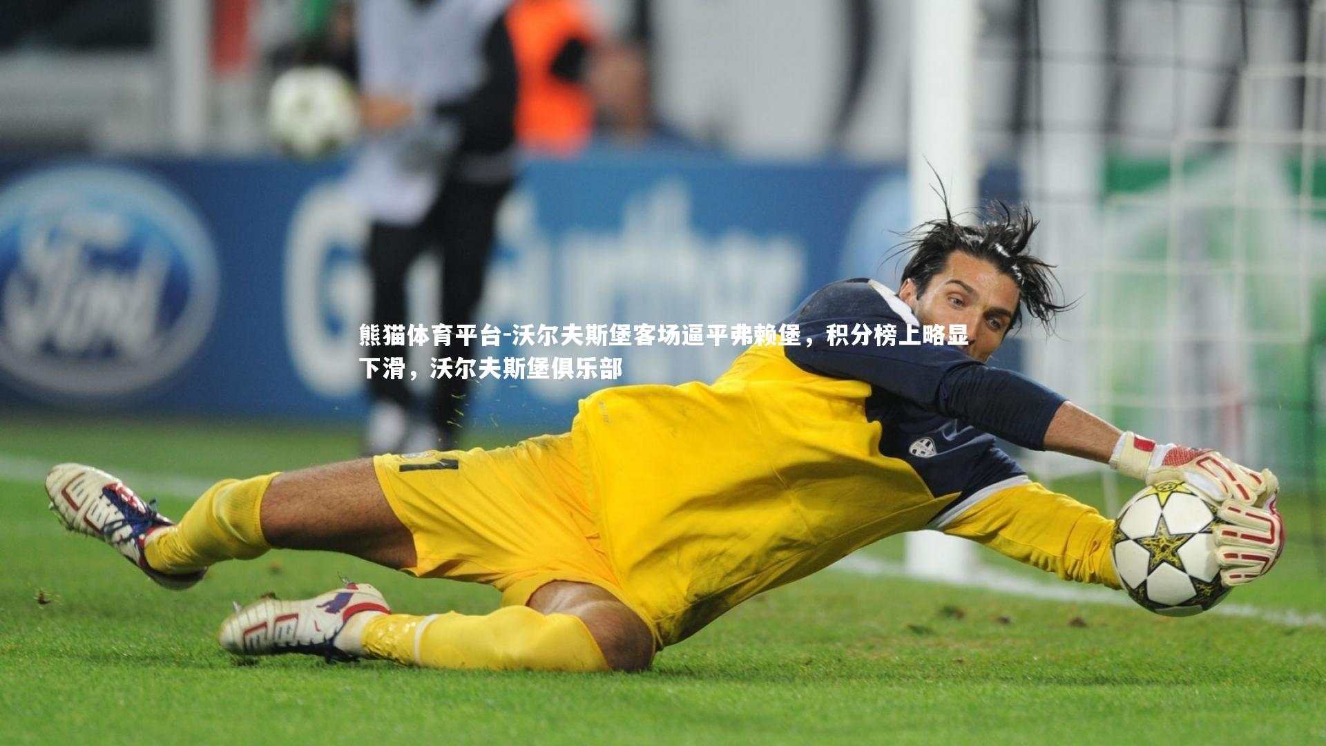 熊猫体育平台-沃尔夫斯堡客场逼平弗赖堡，积分榜上略显下滑，沃尔夫斯堡俱乐部