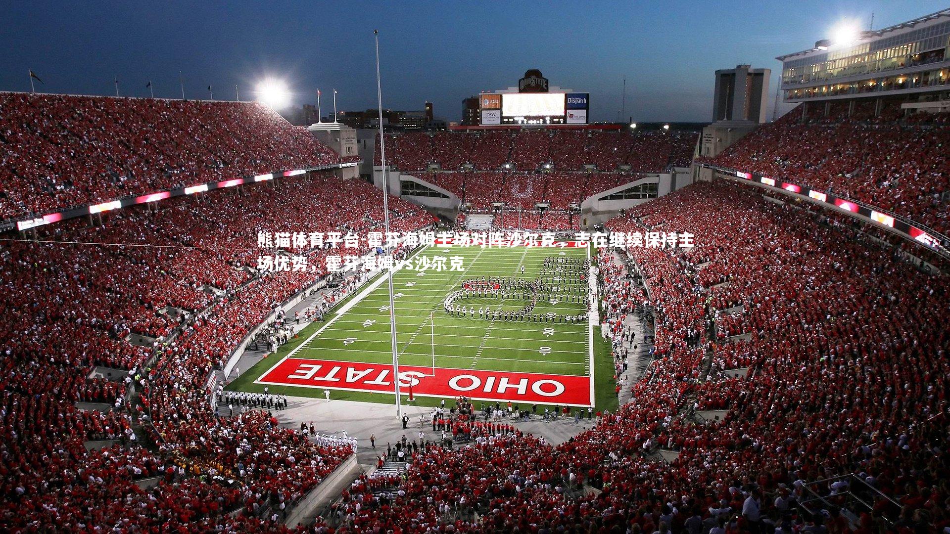 霍芬海姆主场对阵沙尔克,志在继续保持主场优势,霍芬海姆vs沙尔克