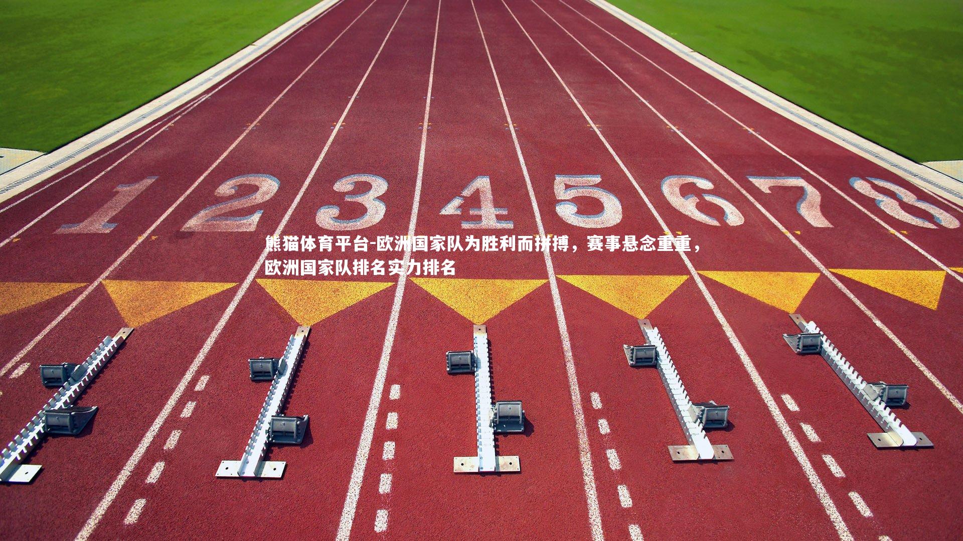 欧洲国家队为胜利而拼搏，赛事悬念重重，欧洲国家队排名实力排名