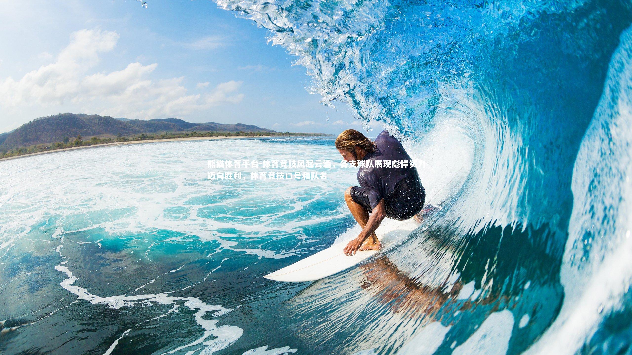 体育竞技风起云涌，各支球队展现彪悍实力迈向胜利，体育竞技口号和队名